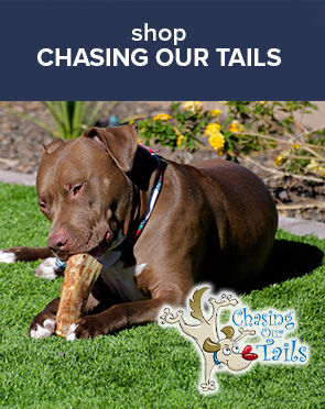 Shop Chasing Our Tails